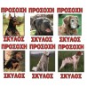 ΠΙΝΑΚΙΔΑ ΣΚΥΛΩΝ 25Χ40
